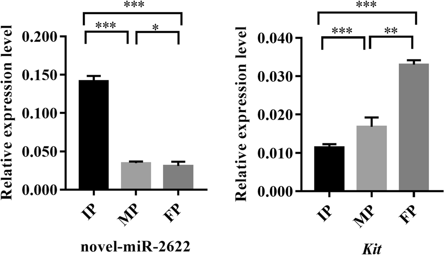 Fig. 10