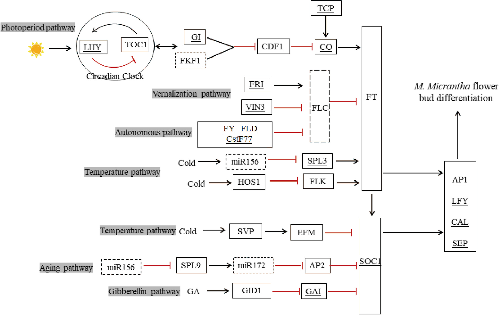 Fig. 11