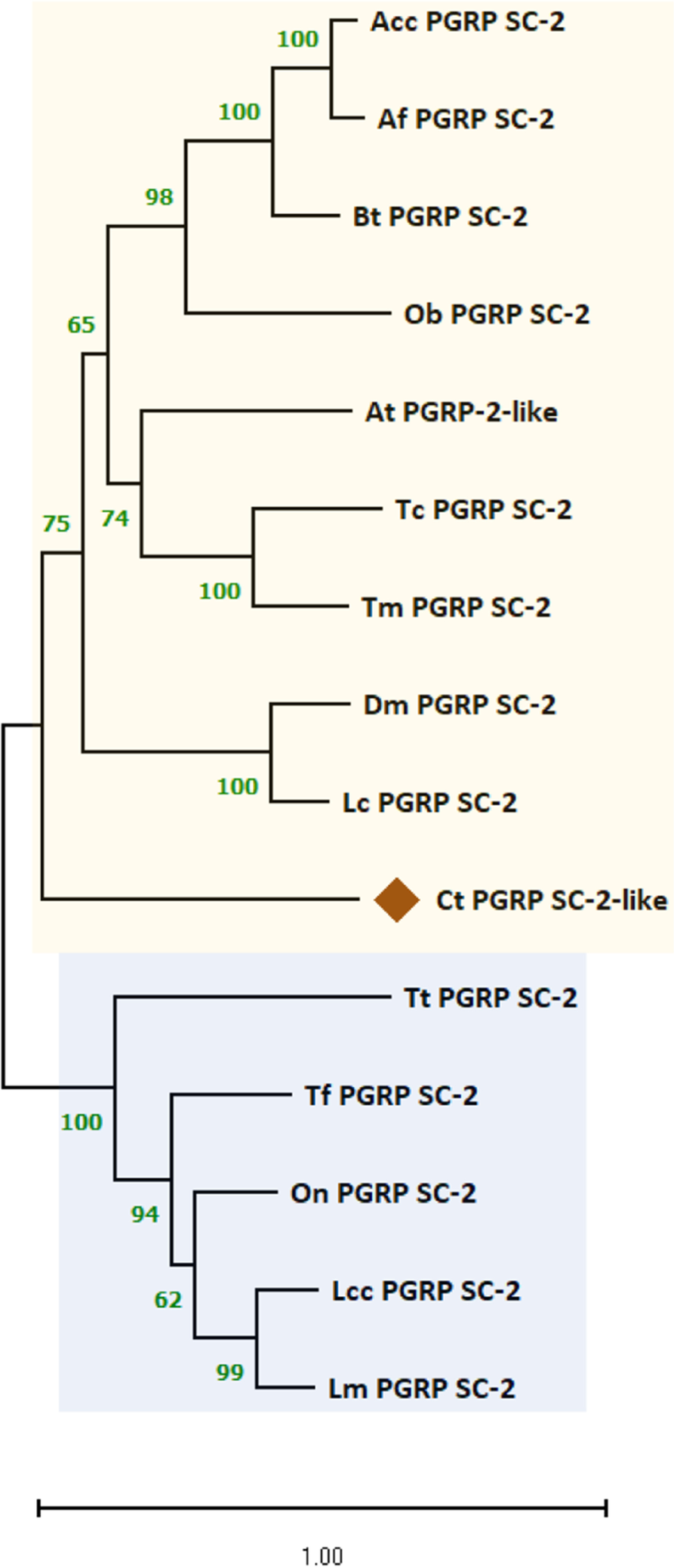 Fig. 12