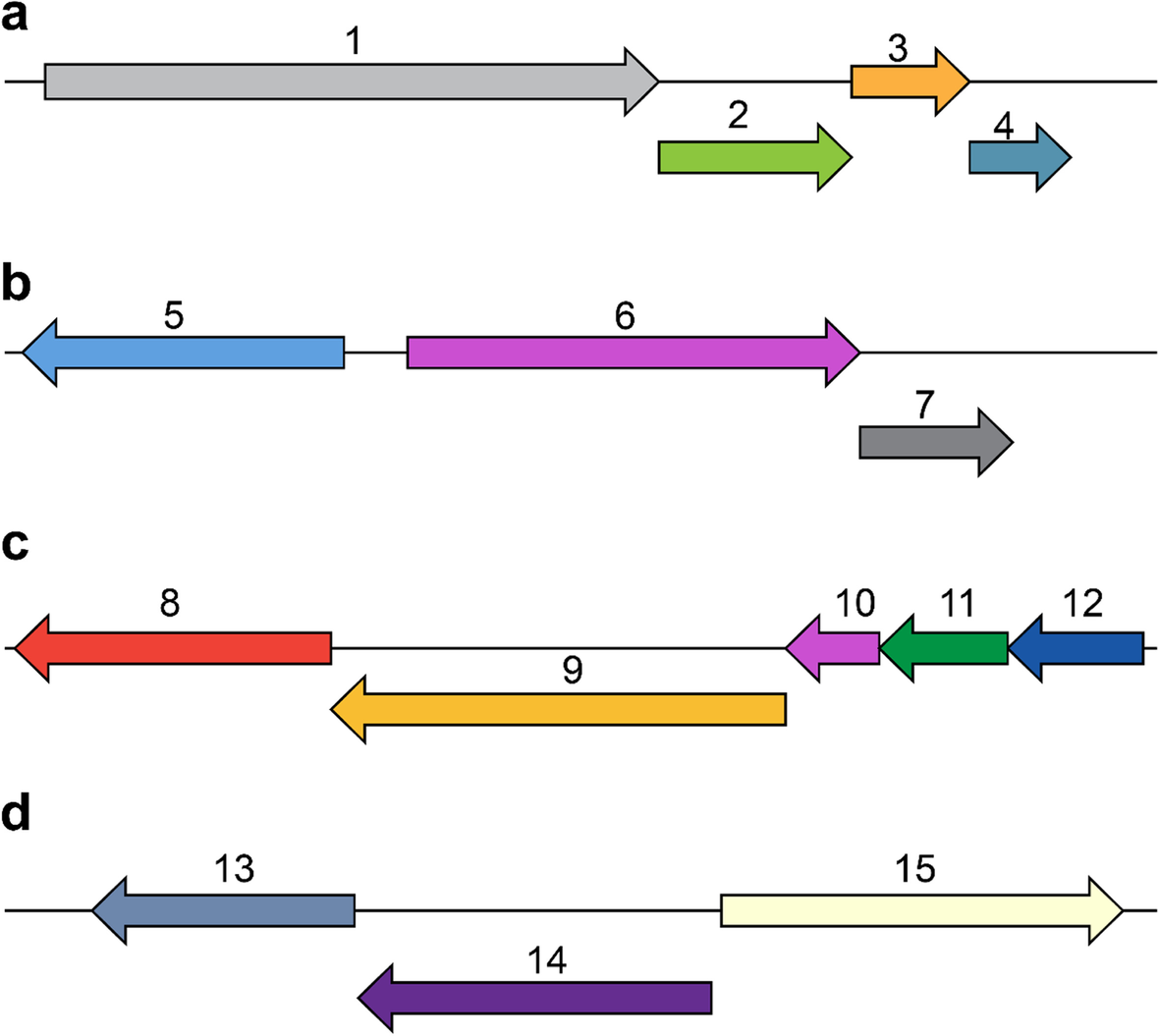 Fig. 2