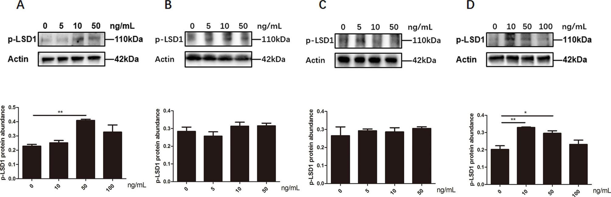 Fig. 10