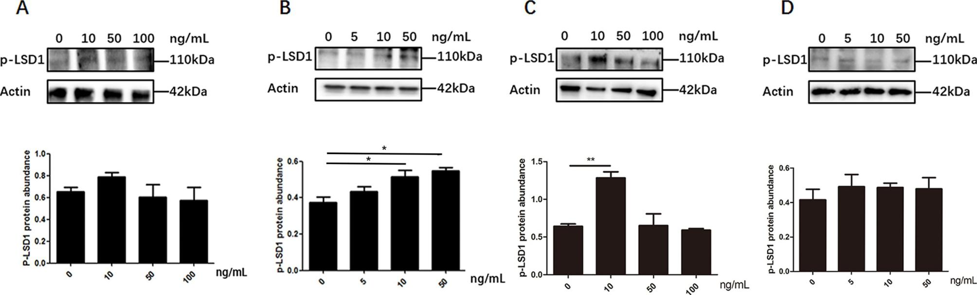 Fig. 9