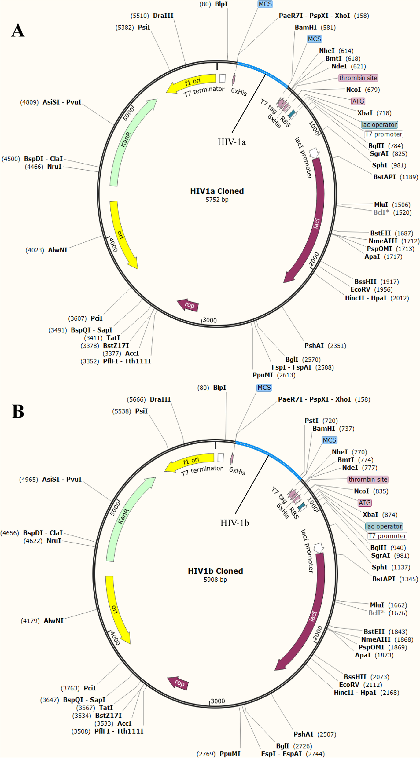 Fig. 10