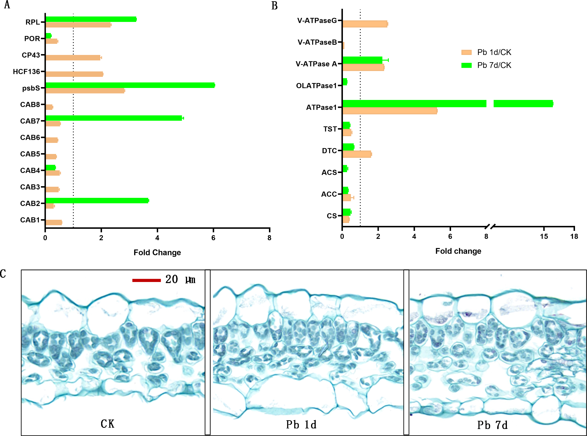 Fig. 7