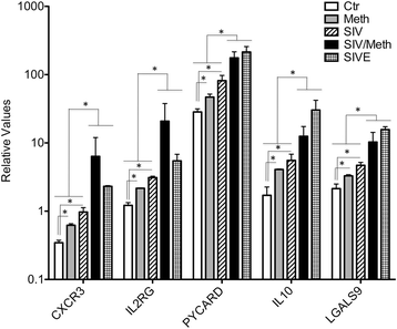 Fig. 7