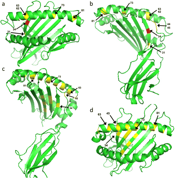 Fig. 5