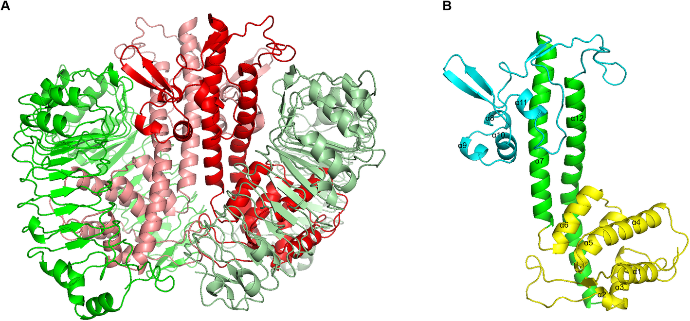 Fig. 2