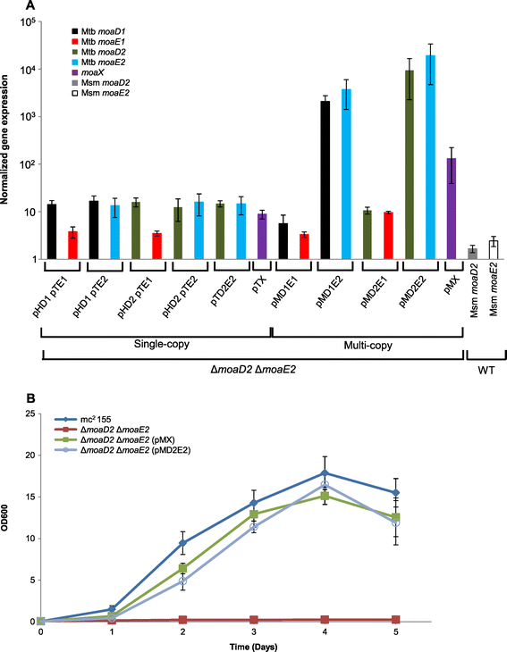 Figure 2