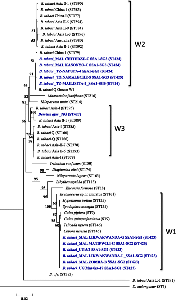 Figure 6