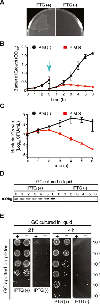 Fig. 4