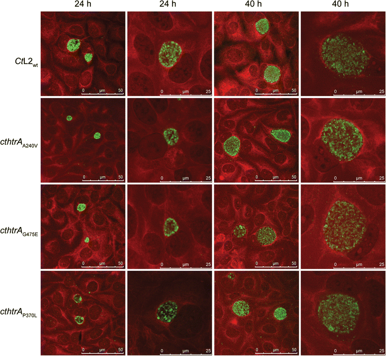 Fig. 4