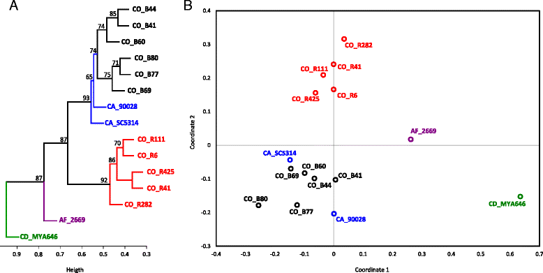 Fig. 2