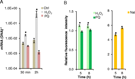 Fig. 5