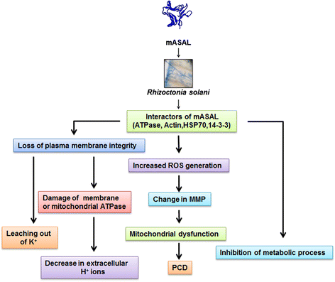 Fig. 9