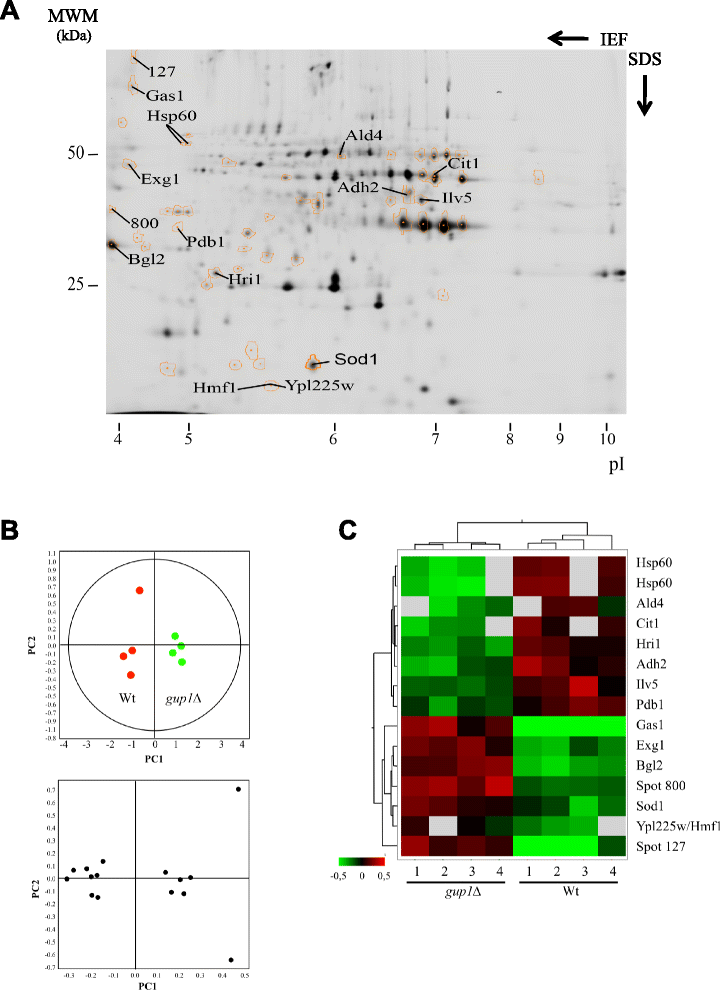 Fig. 5