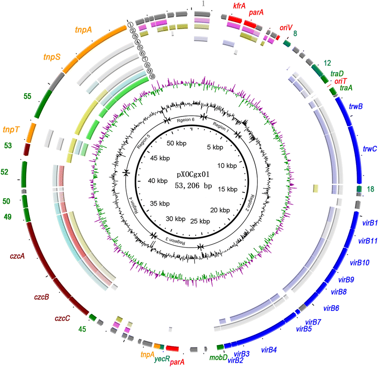 Fig. 2