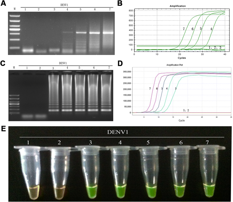 Fig. 8