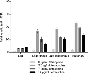 Fig. 3