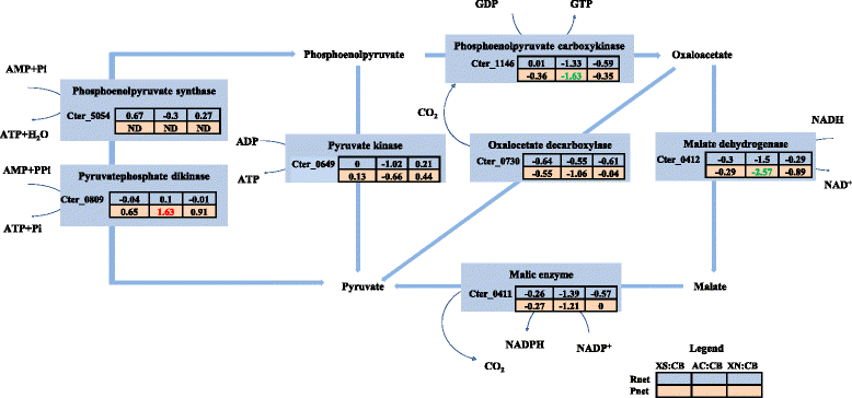 Fig. 5