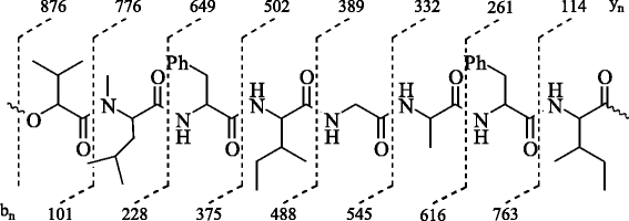 Fig. 5