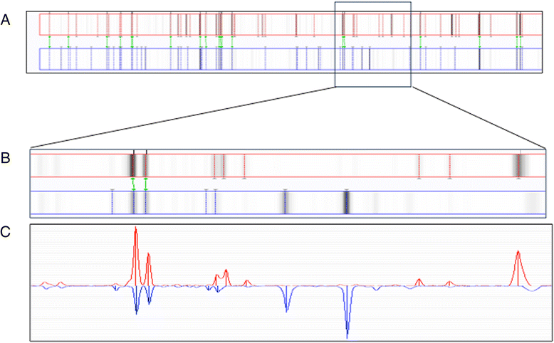 Fig. 2