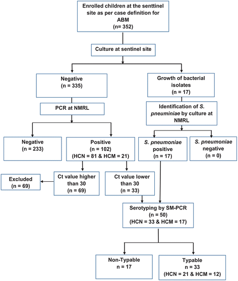 Meningitis Flow Chart