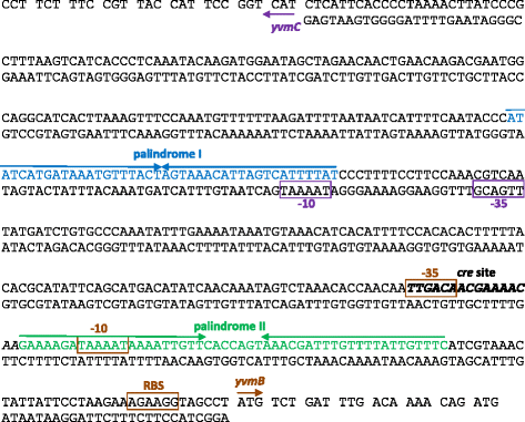 Fig. 4