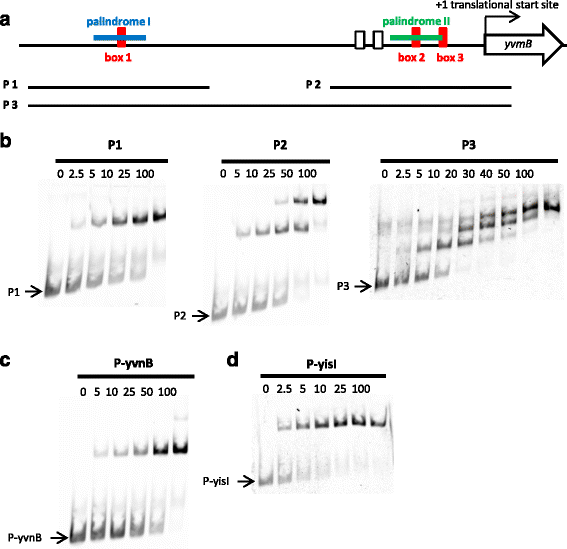 Fig. 8