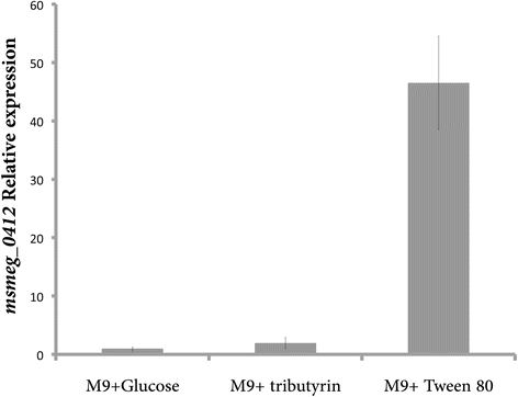 Fig. 5