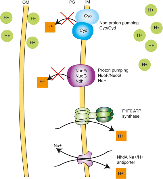 Fig. 4