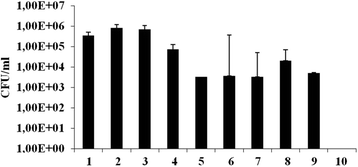 Fig. 5