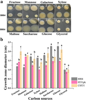 Fig. 7