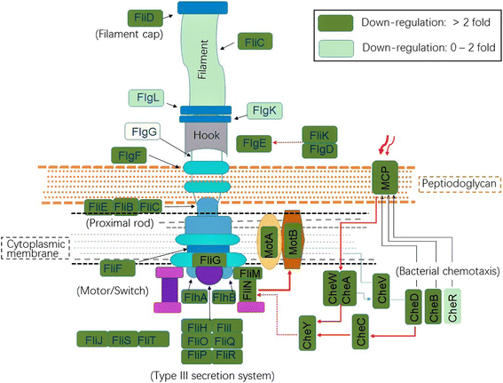 Fig. 4