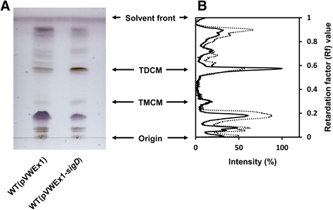 Fig. 5