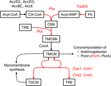 Fig. 6