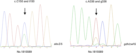 Fig. 1