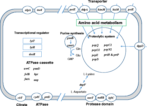 Fig. 3