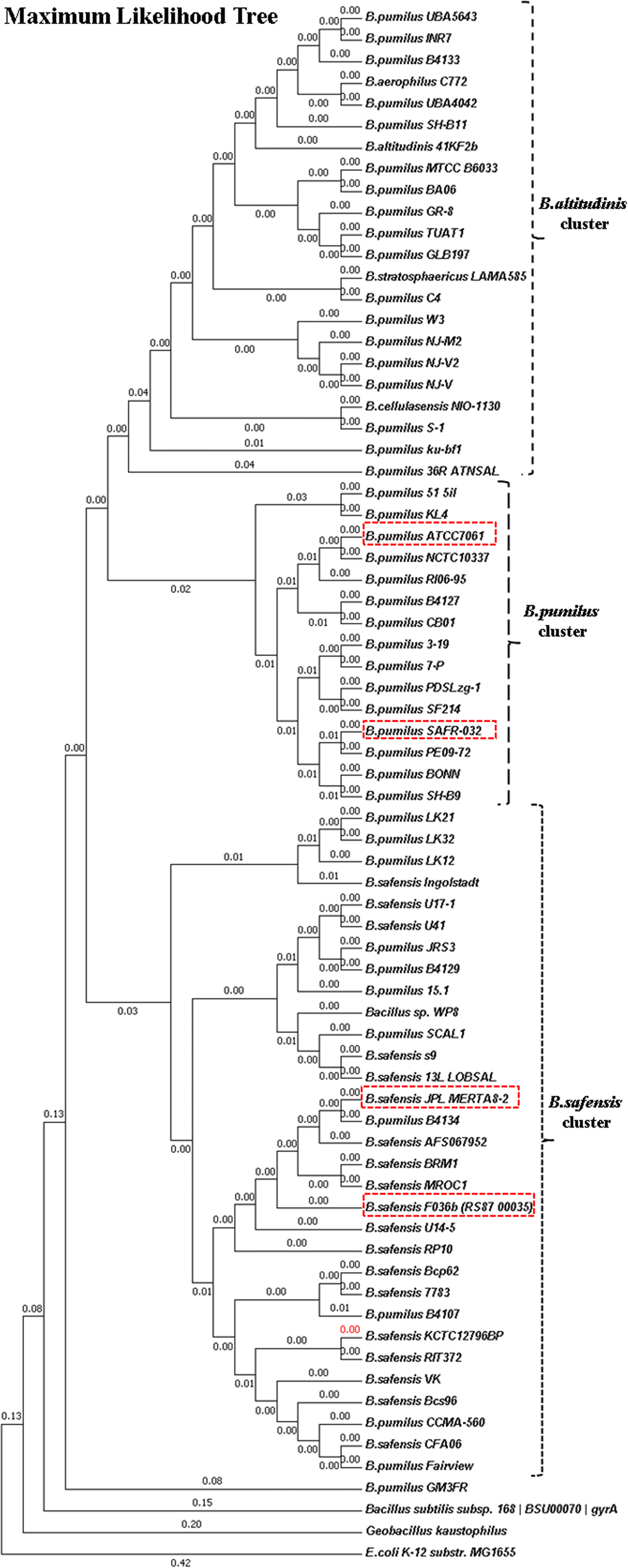 Fig. 9