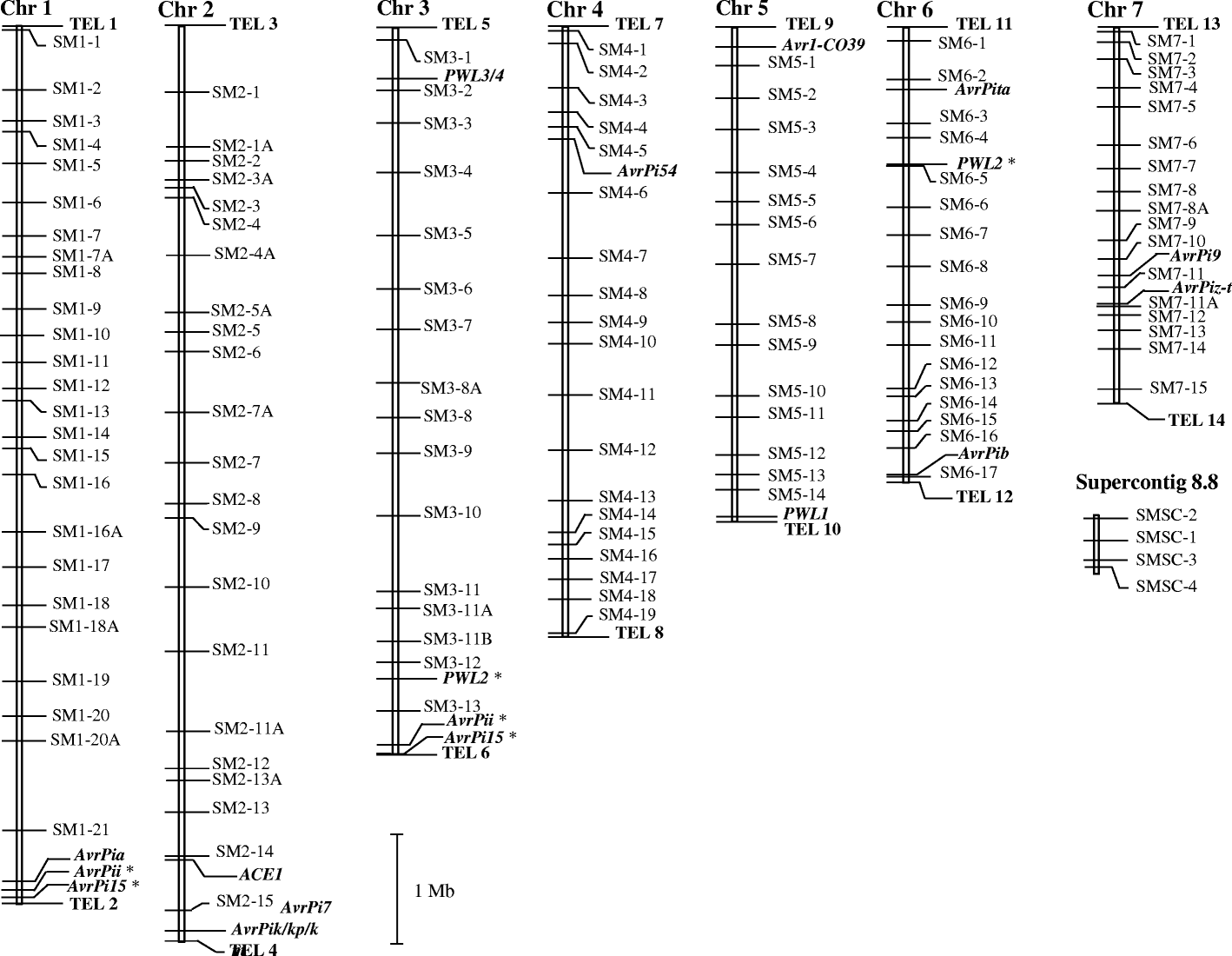 Fig. 1