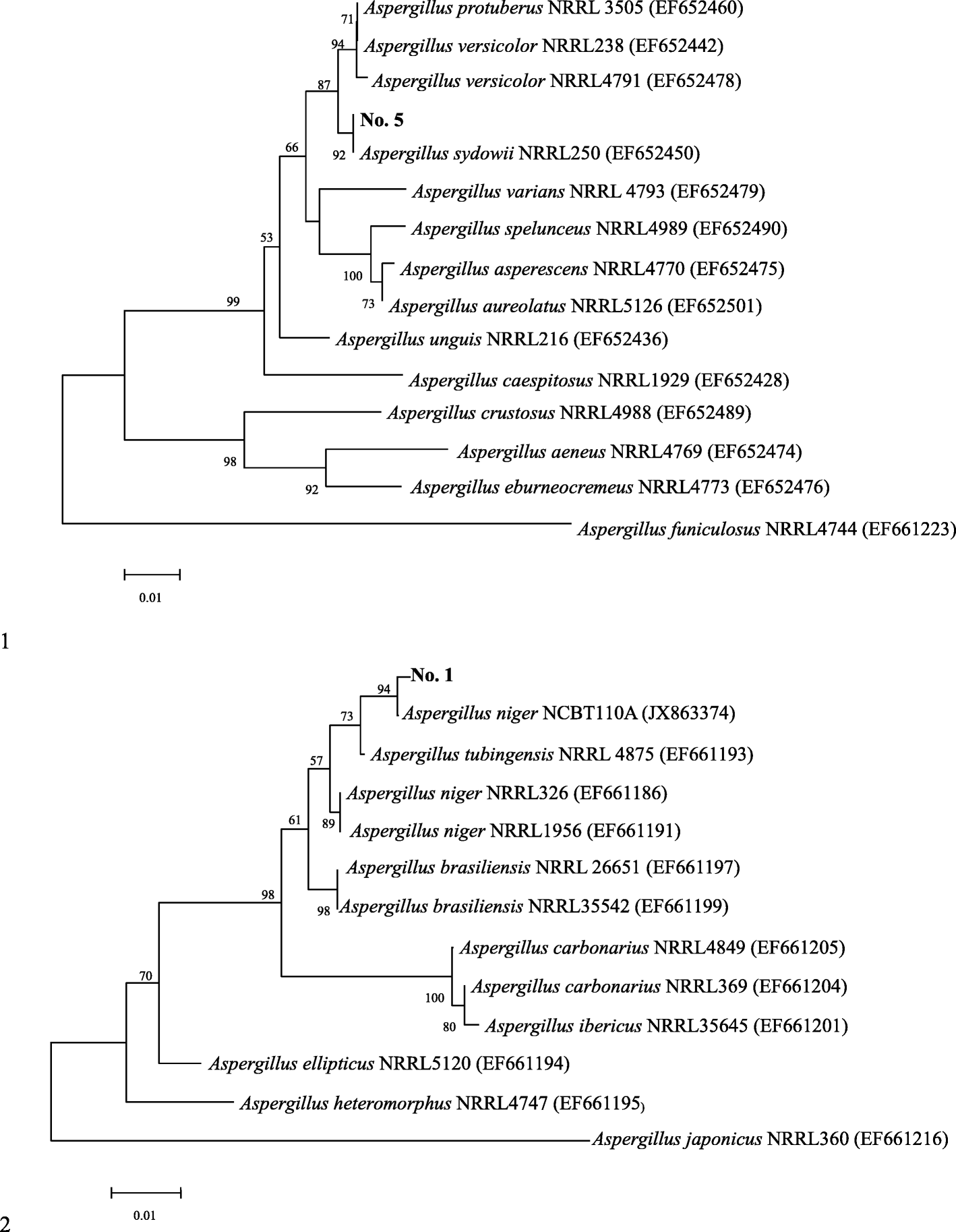 Fig. 2