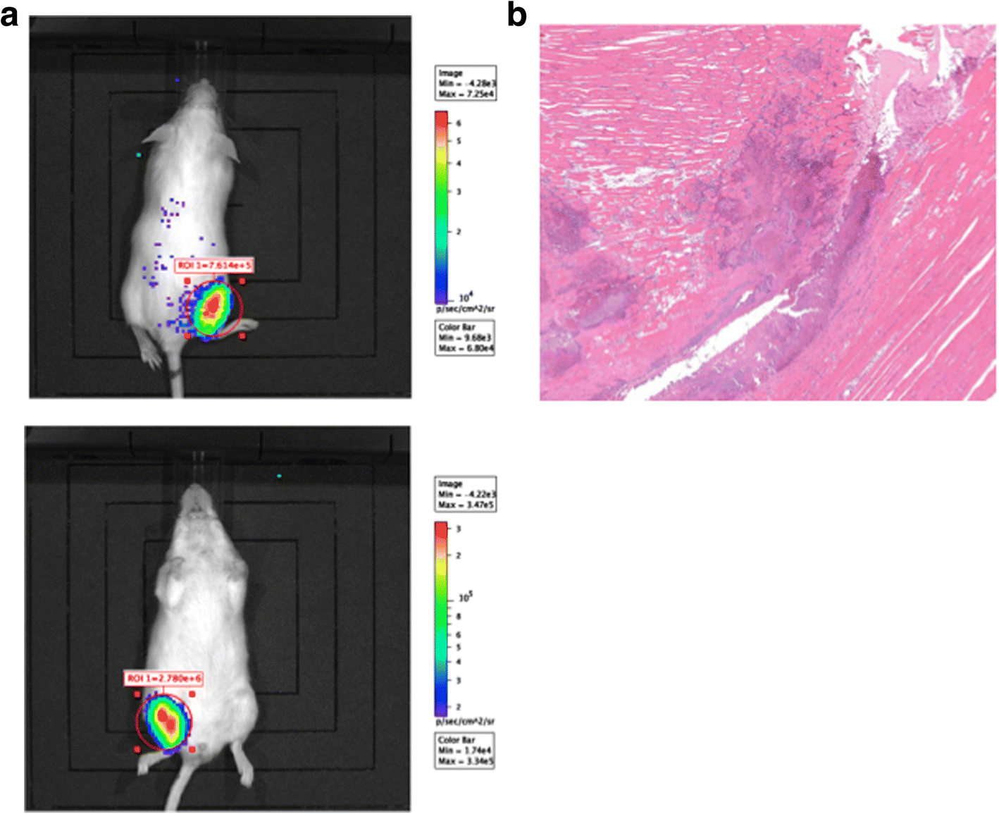 Fig. 4