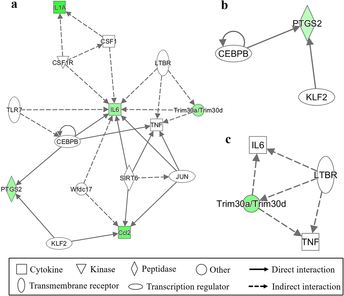 Fig. 5