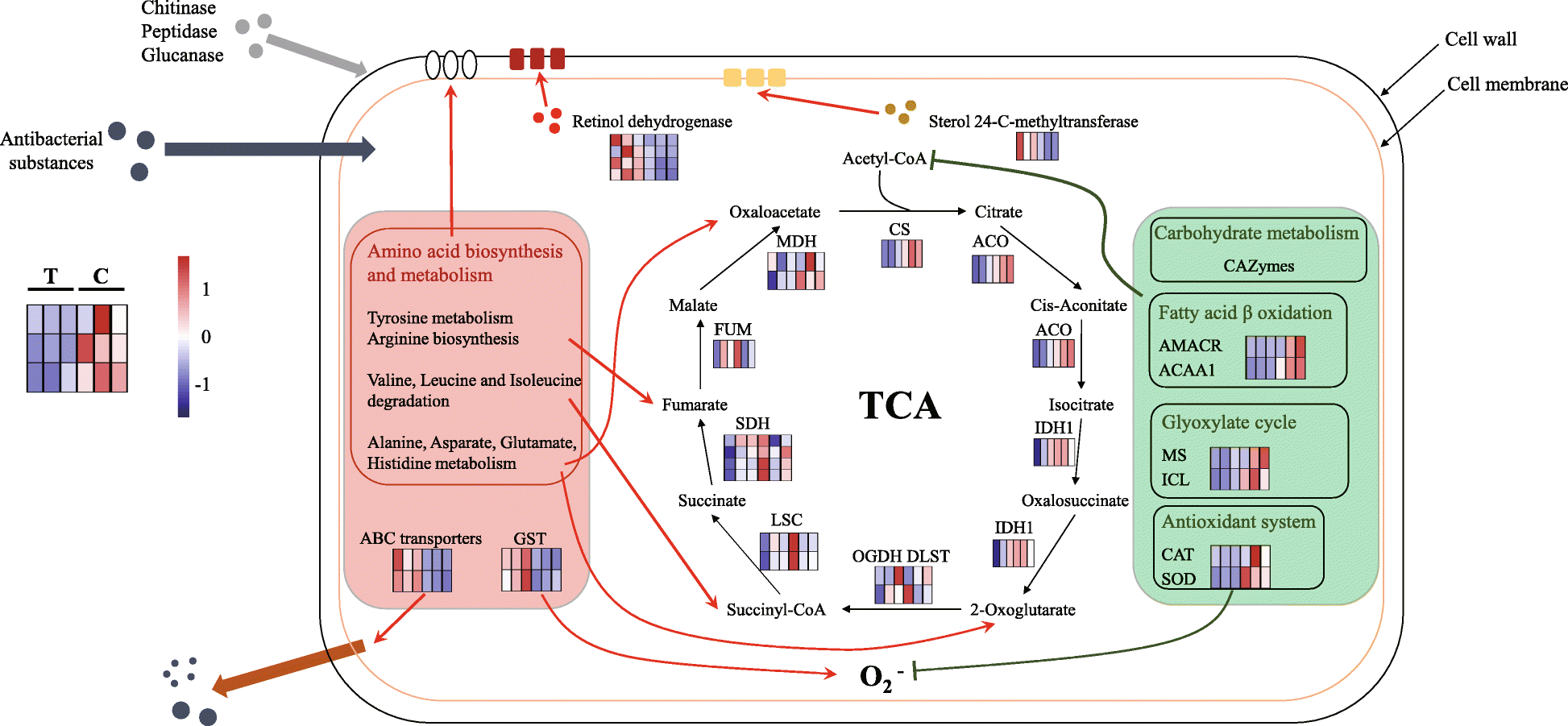 Fig. 8