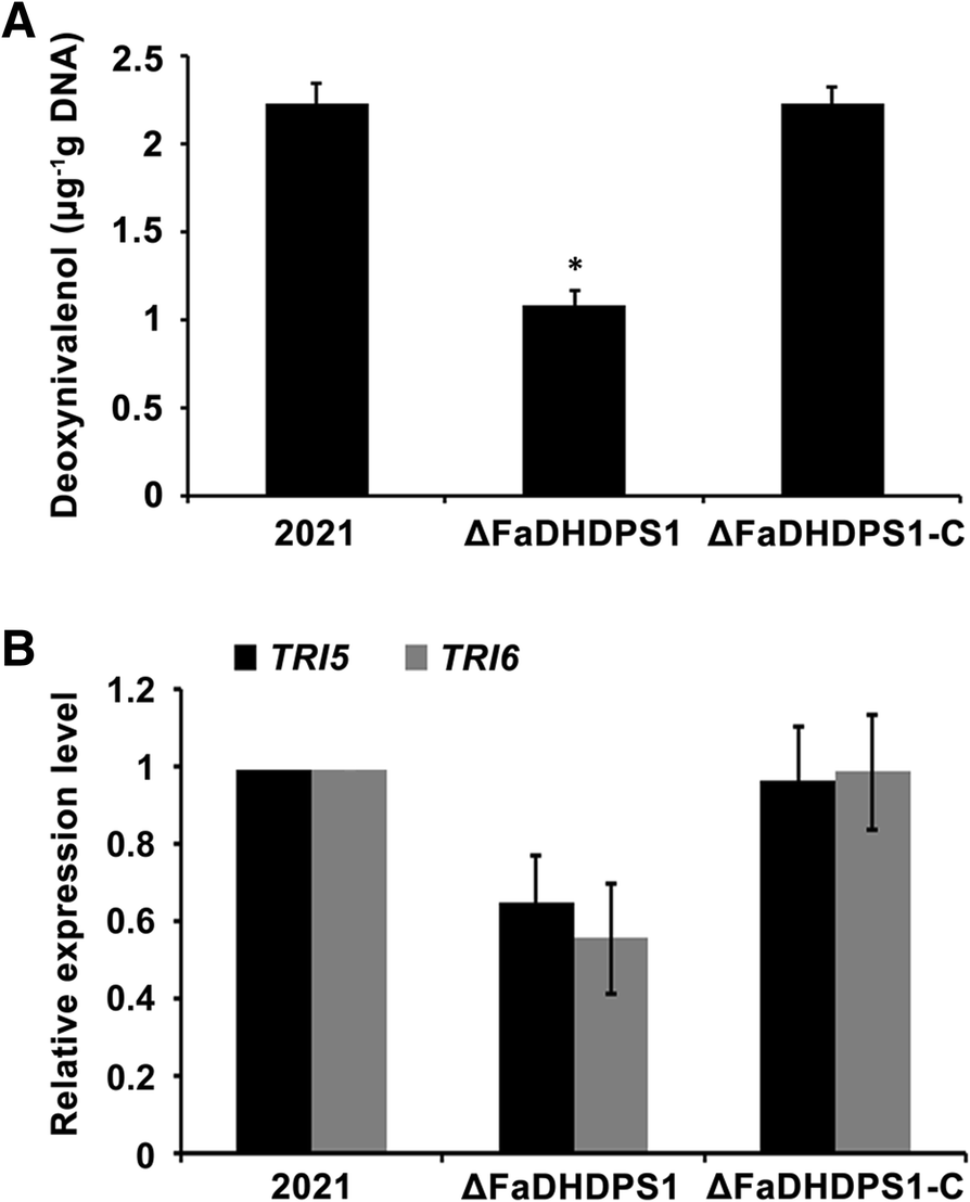 Fig. 7