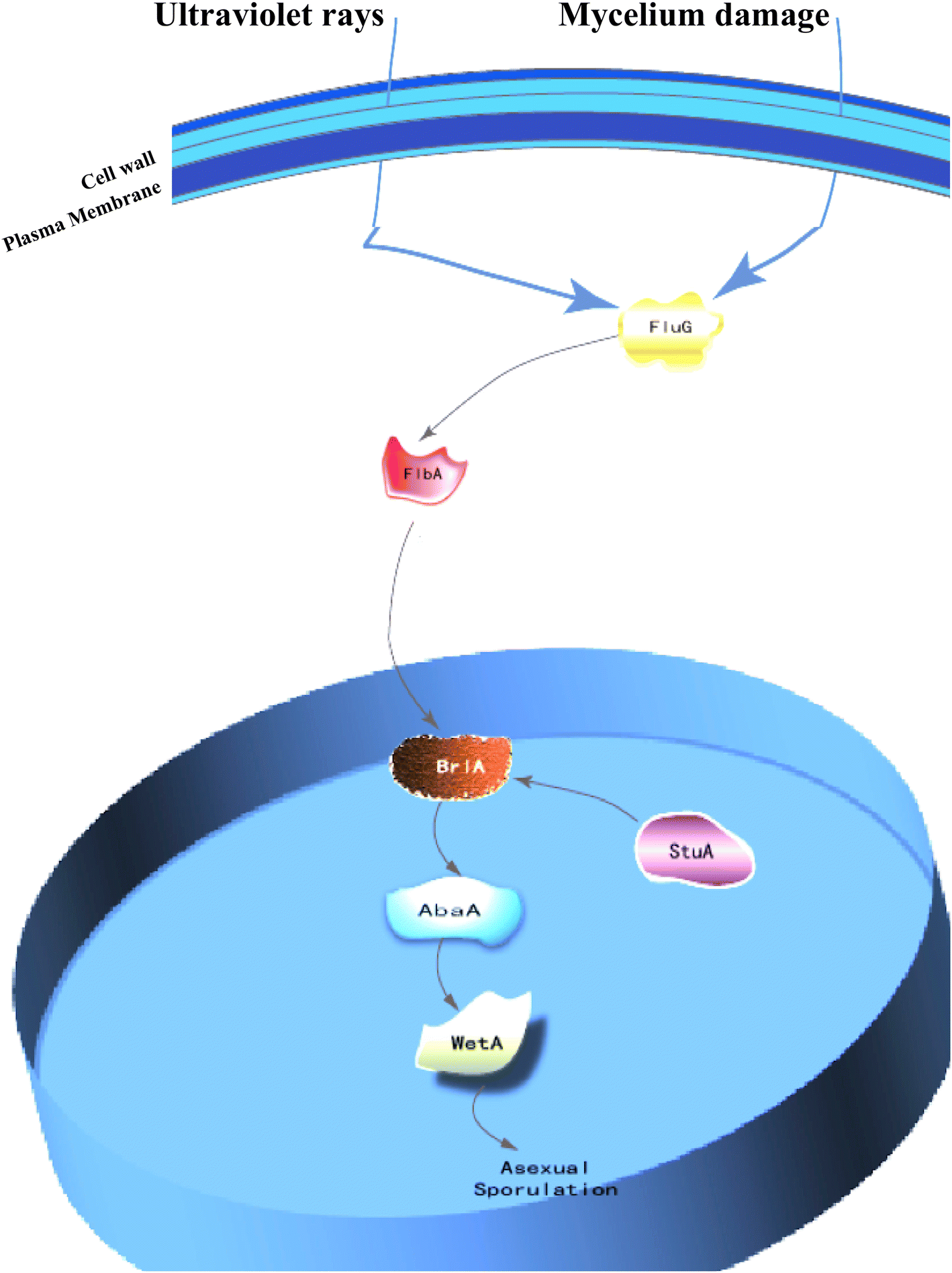 Fig. 6