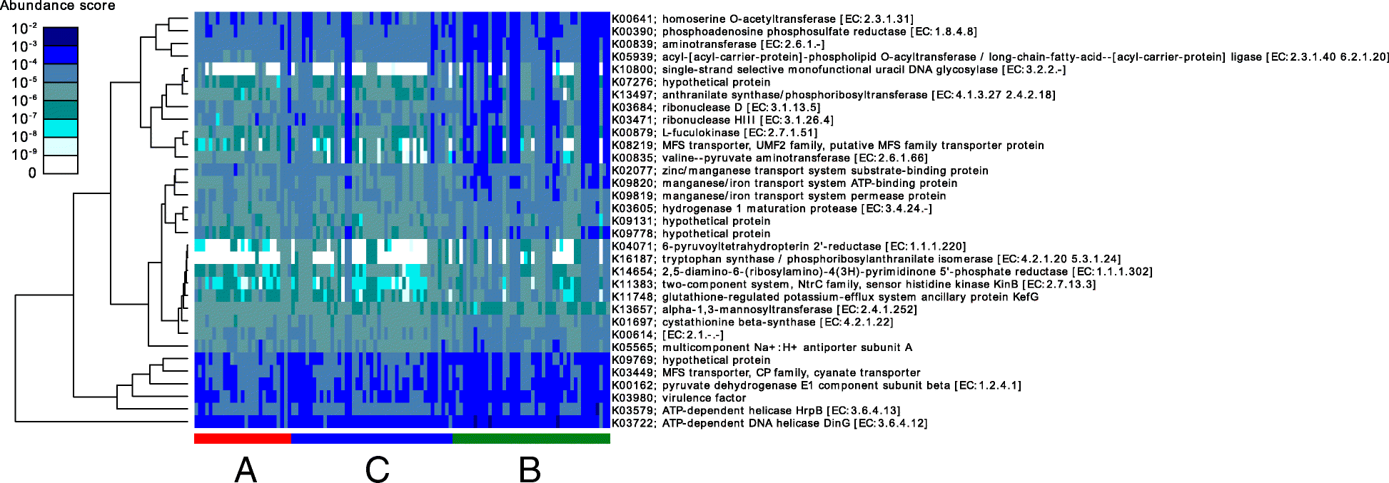 Fig. 6