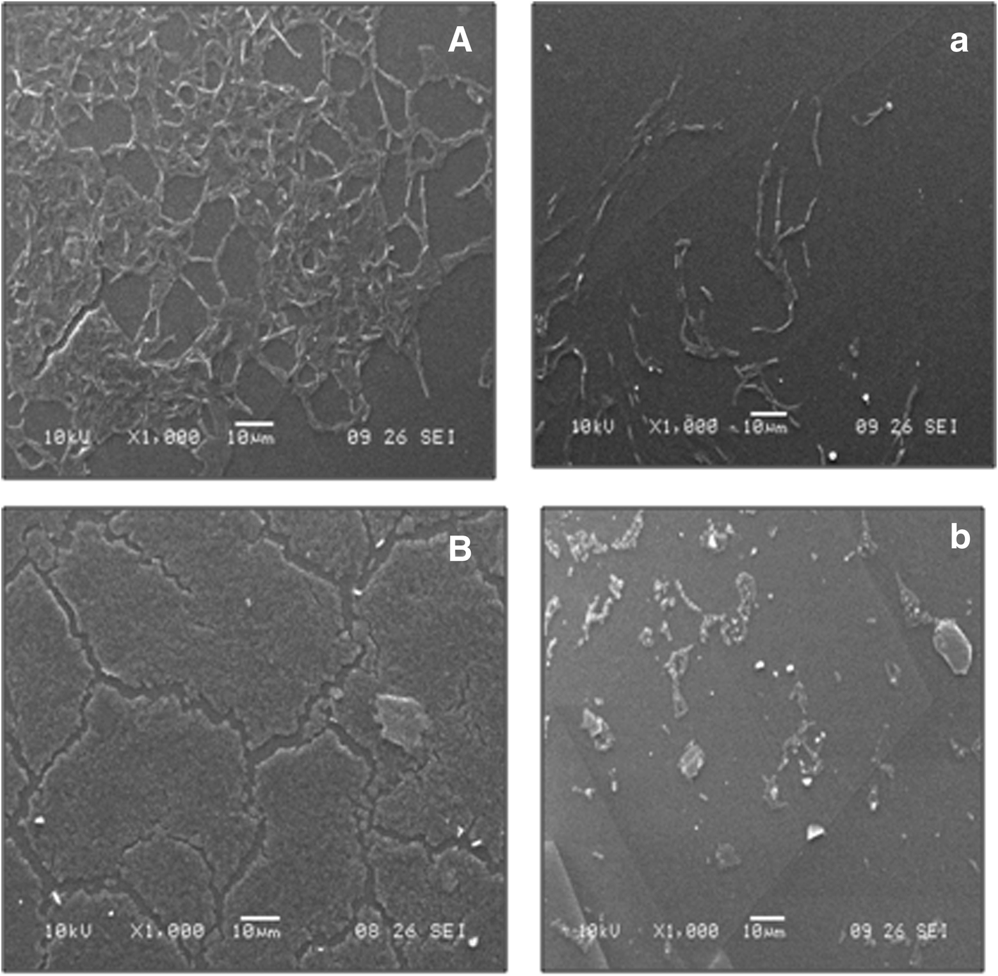 Fig. 12