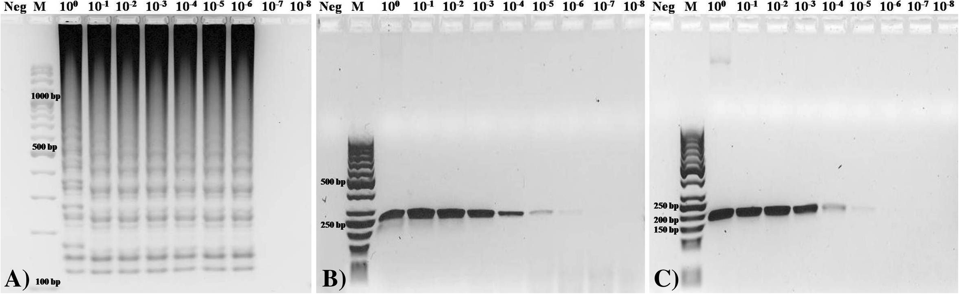 Fig. 5