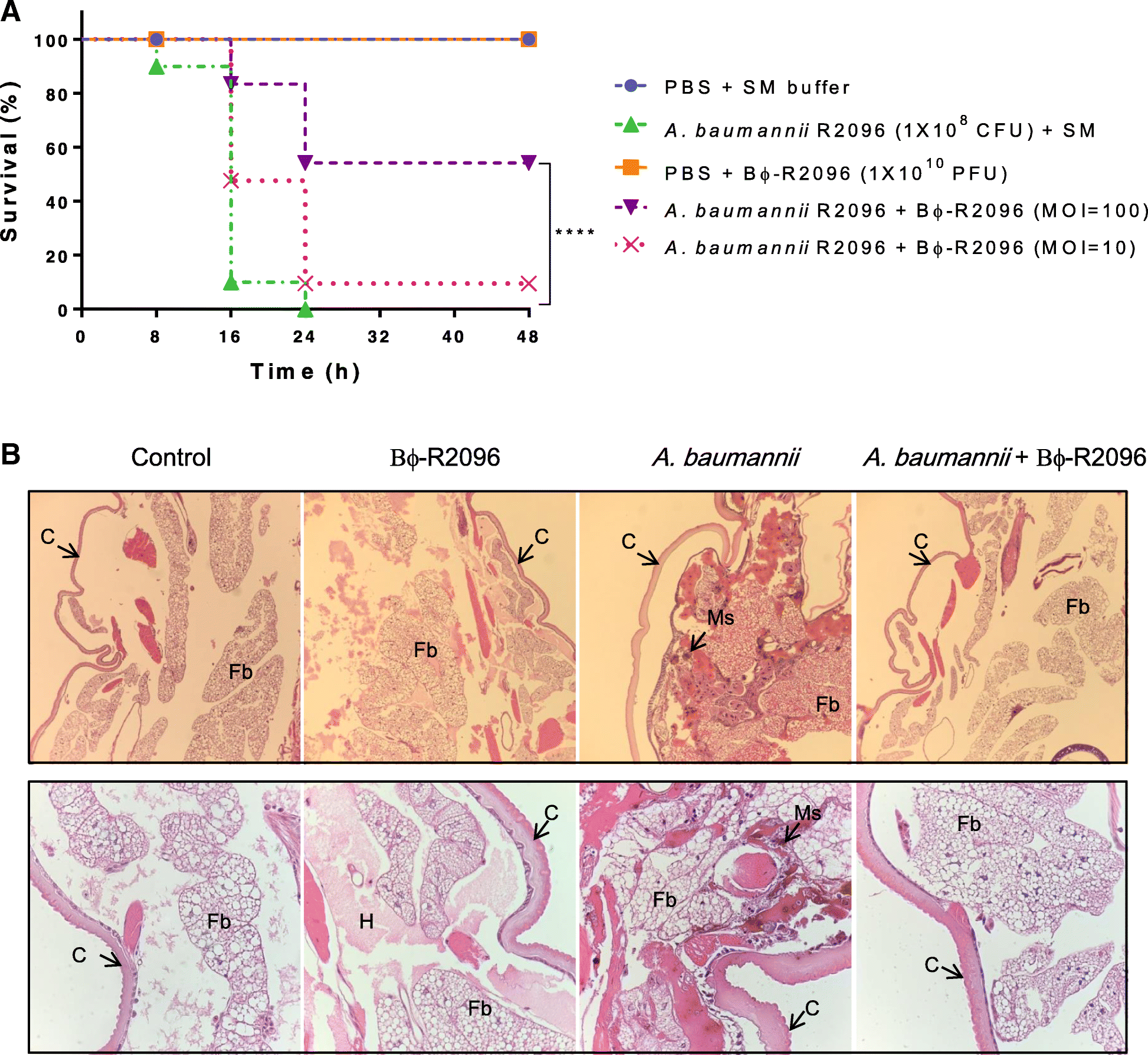 Fig. 4