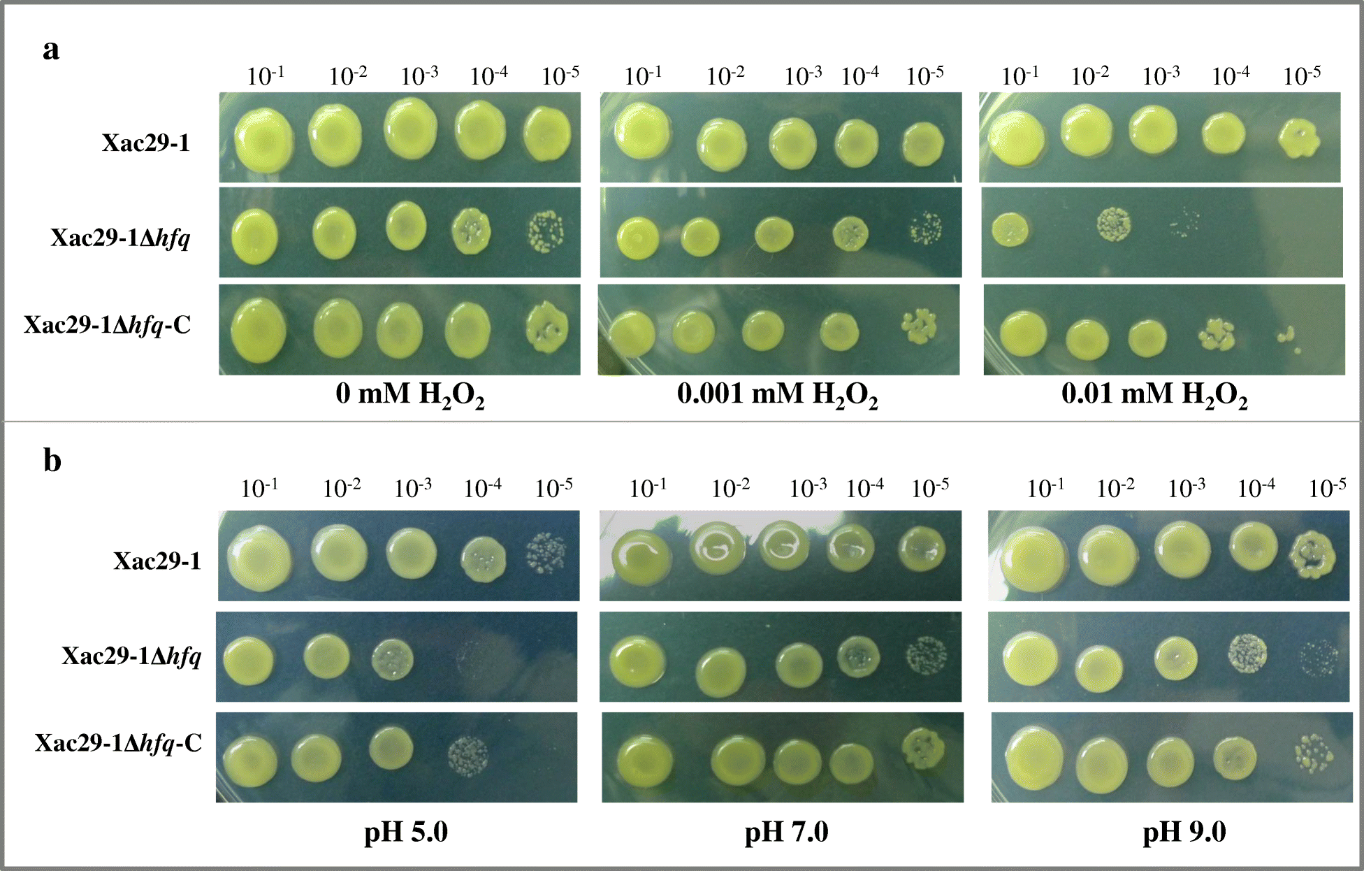 Fig. 4